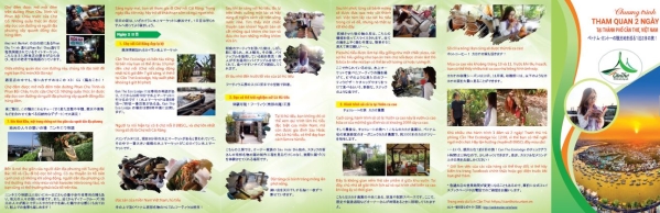 In brochure tiếng Việt - Nhật